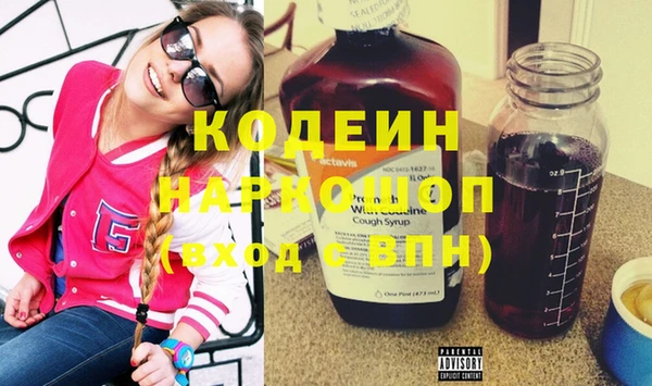гашик Алексин