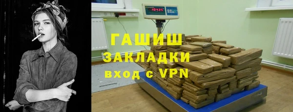 гашик Алексин