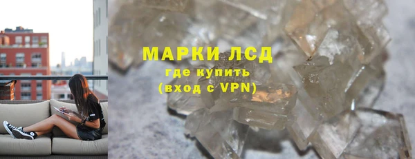 гашик Алексин