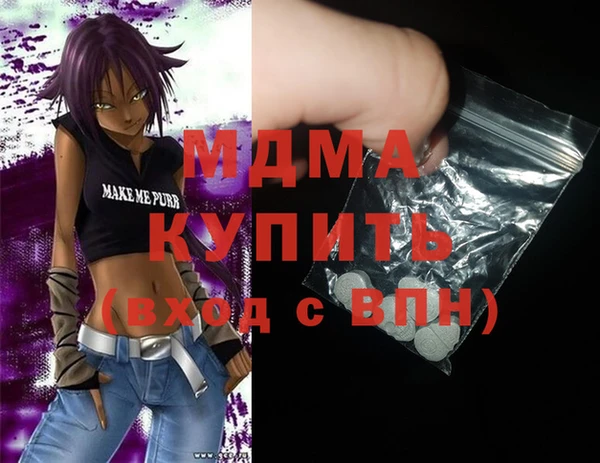 гашик Алексин