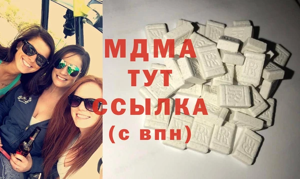 гашик Алексин