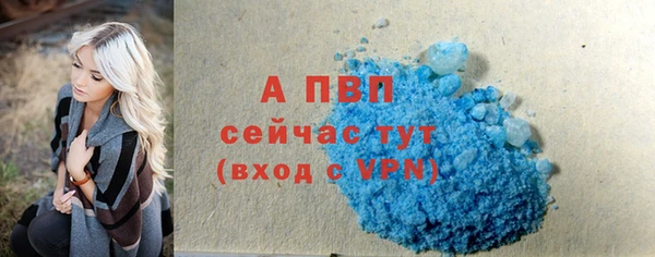 гашик Инта