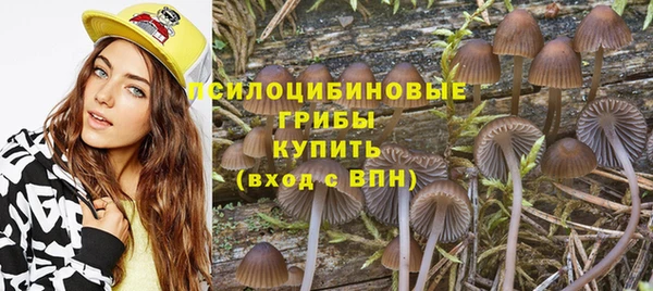 гашик Алексин