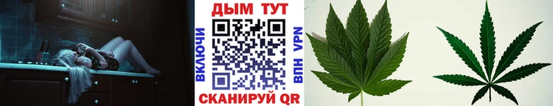купить сайты Билибино Канабис сатива
